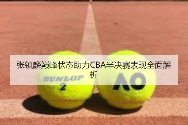 张镇麟巅峰状态助力CBA半决赛表现全面解析